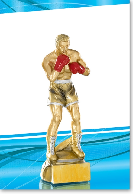 Figuren für den Kampfsport, Trophäen mit Gravur schnell und günstige im Onlineshop erhältlich. Auszeichnungen für den Sieger unterschiedlicher Sportarten