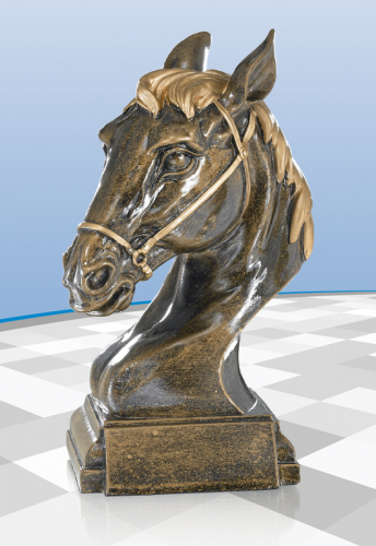 Reitpokal Amira