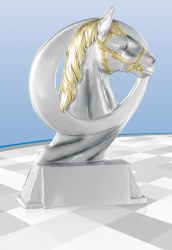 Reitpokal Ability